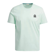 Sandbanks Logo Badge Slim Fit Mint T-Shirt